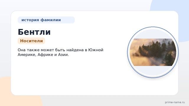 Разбираем происхождение и историю фамилии Бентли: значение и правильное склонение
