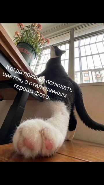 Какова красота