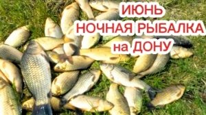 Рыбалка на Дону.