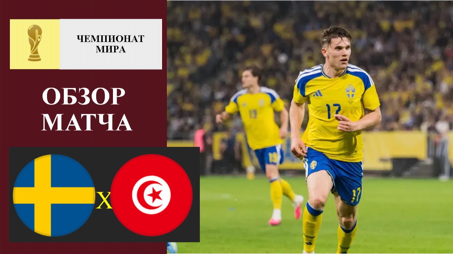 Швеция - Тунис обзор матча