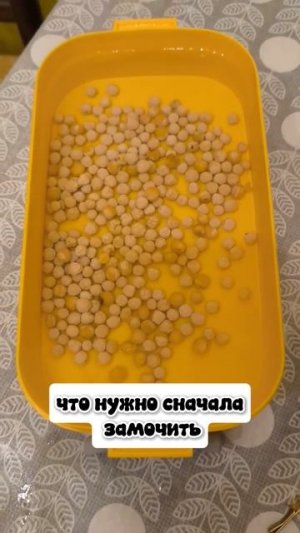 Посадили микрозелень