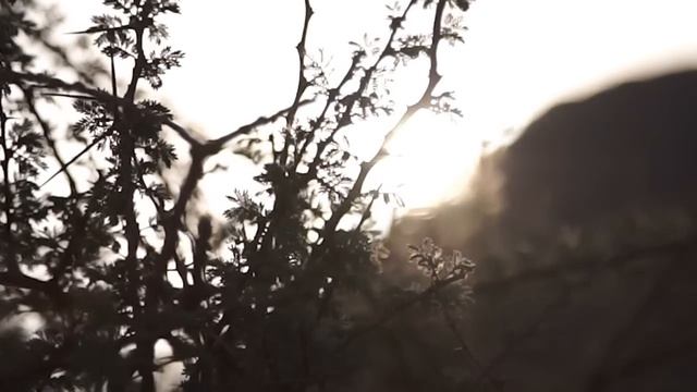 Pnina Tornai 2016 Wind Upon Water Collection Campaign Video