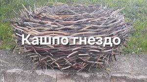 Кашпо-гнездо