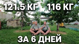 Попробовал вообще не есть 6 дней
