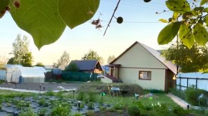 ВЛОГ/ НА ДАЧЕ