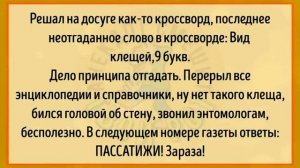 #анекдоты #юмор #Вирус #Тренды #Развлечения #Смешно #смешныеанекдоты