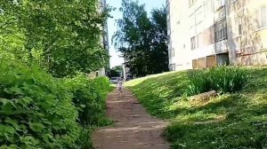 Влог - наш Май 2026 🏵️