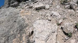 Забрался на камень