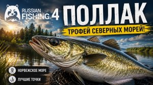 [Морская рыбалка] Точка на «Поллак» l Норвежское море l RF-4