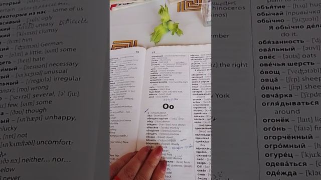 140.mp4