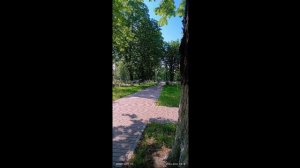 XZLOPRODUKTZX DJ OTETS PAVEL😎