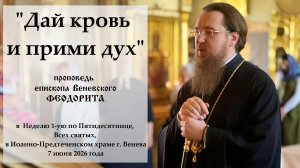 «Дай кровь и прими дух.» Епископ Венёвский Феодорит.