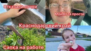 Купили дом.Плачу. Мой Серышка. Прощай. Меня укусил клещ. Косим траву.