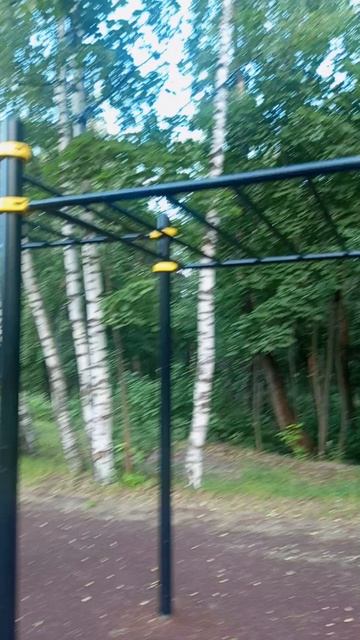 Турники в городском парке Дзержинска