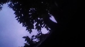 для Даши