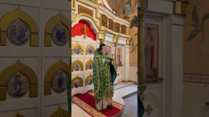 14.06.2026 г. Проповедь в день памяти св.прав. Иоанна Кронштадтского. Иерей Владимир Плотников