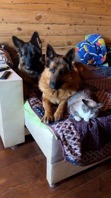 У кого-то утро не задалось.... 😆))