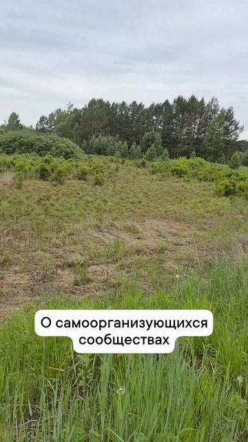 о сообществах