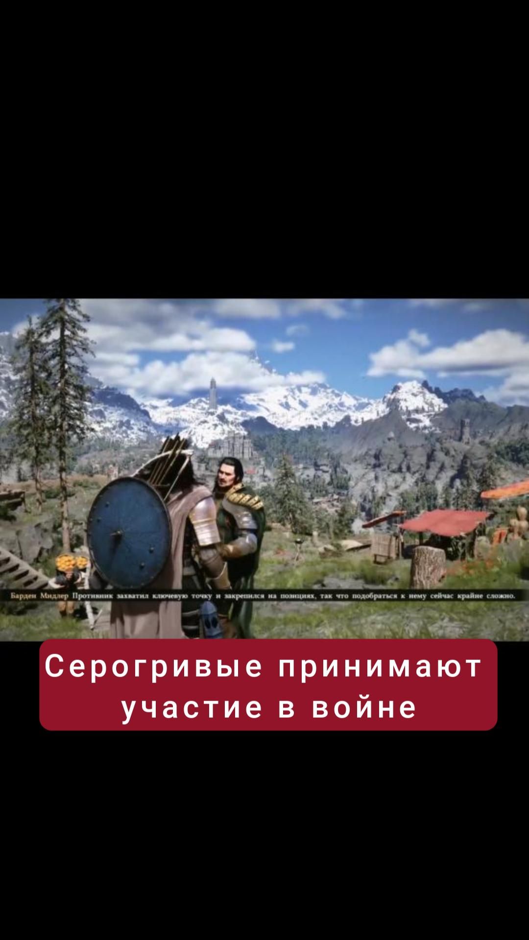 Серогривые принимают участие в войне- квест 