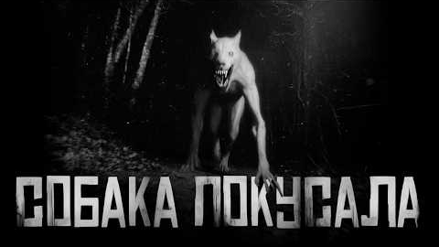 СОБАКА ПОКУСАЛА!.. Страшные истории на ночь. смотреть онлайн