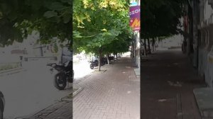 1000052852.mp4Немного о городе и горожанах.