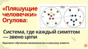 «Пляшущие человечки» Огулова: Система, где каждый симптом — звено цепи.  Фрагмент обучения
