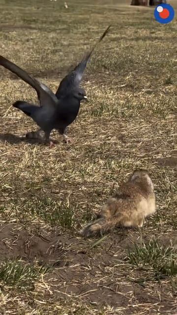 Забота и любовь смотреть онлайн