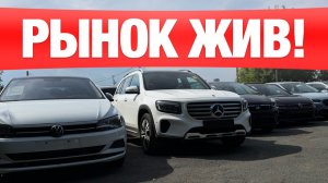 Какие автомобили сегодня привозят из Японии, Китая и Кореи? Большой обзор рынка 2026