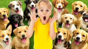 Крис и Майкл учатся заботиться о животных