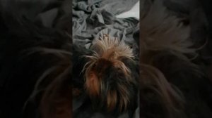 VID_20260604_082432.mp4