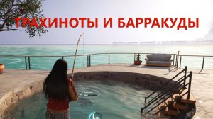 Рыбалка в домашнем бассейне ТРАХИНОТЫ И БАРРАКУДЫ Once Human