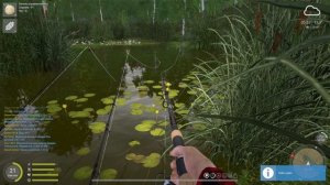 Russian Fishing 4 247 серия редкий золотистый линь дорогой