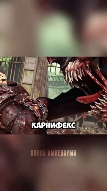 Удачливый Тит смотреть онлайн