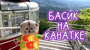 🐱🌳🚠БАСИК НА КАНАТКЕ / ВЛОГ С БАСИКОМ В КИСЛОВОДСКЕ  #Басик