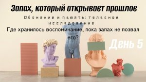 Нейро медитация на запах и обоняние: для обострения чувствительности и раскрытия возможностей мозга