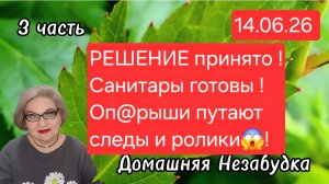 3 часть. Решение принято❗️Санитары готовы❗️ОП@РЫШИ путают следы и ролики😱❗️