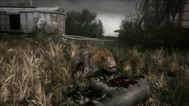 S.T.A.L.K.E.R. Чистое небо