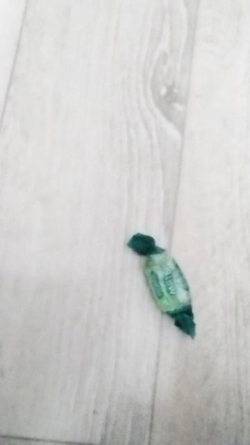 видео больше не будет🤣🤣🤣(будет)