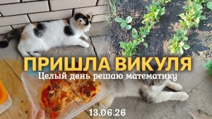 ВЛОГ ЦЕЛЫЙ ДЕНЬ РЕШАЮ МАТЕМАТИКУ🗒️ Показала огород🥕