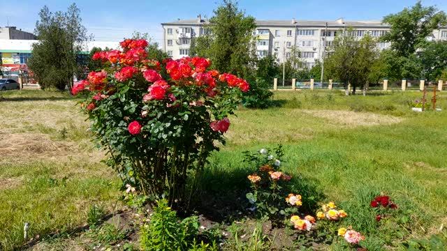 Счастье быть в храме! Как начинал ходить в храм в детстве. Воспоминания. 14.06.2026