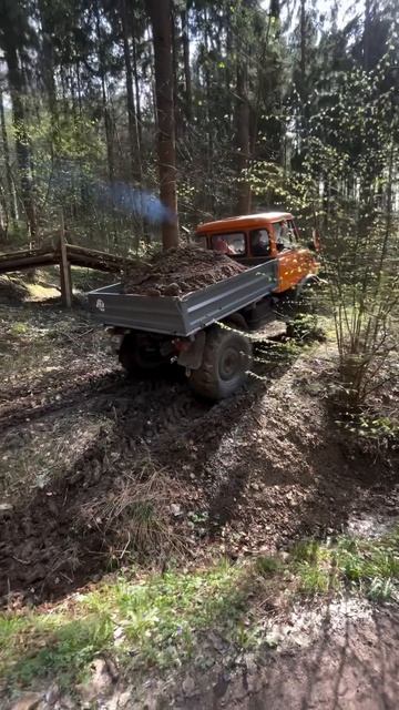 легенда Unimog на бездорожье *adr Dvoffroad * Video