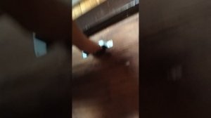 пытаем Спайка за то что а он издевается над Леон