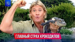 Его боялись все крокодилы!
