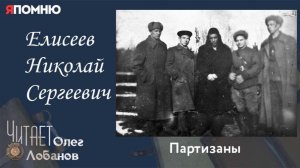 Елисеев Николай Сергеевич.  Проект «Я помню» Артема Драбкина. Партизаны.