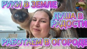 Работаем в огороде на полную мощность