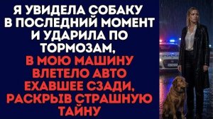 Истории из жизни|Я увидела собаку|Аудио рассказы|Аудиокниги слушать онлайн|Жизненные истории