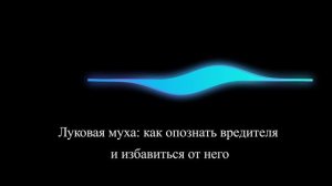 Луковая муха: как опознать вредителя и избавиться от него