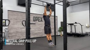 Neutral Grip Pull-Up Подтягивания нейтральным хватом