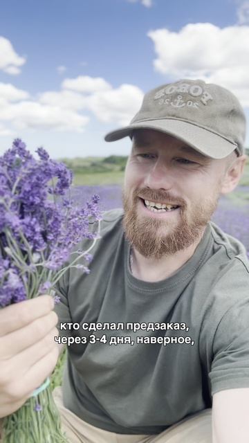 Заготовка лаванды в пучках 2026