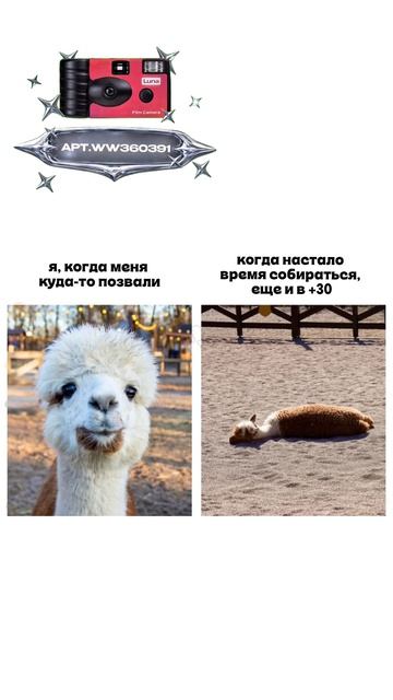 Плёночный фотоаппарат на 36 кадров (Артикул WB: #WW360391)💕
